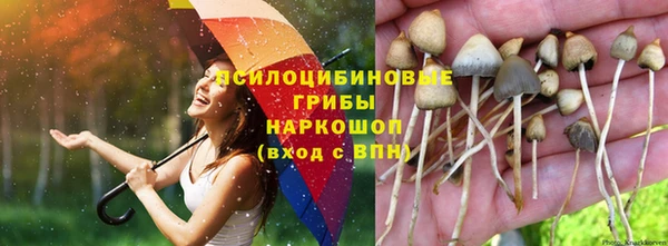 кокс Абинск