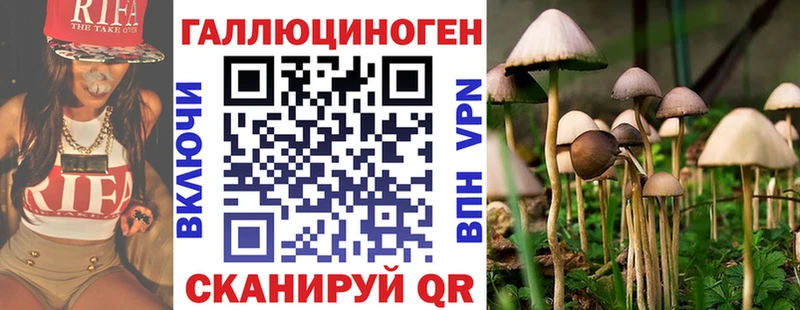 Галлюциногенные грибы Magic Shrooms  продажа наркотиков  Химки 