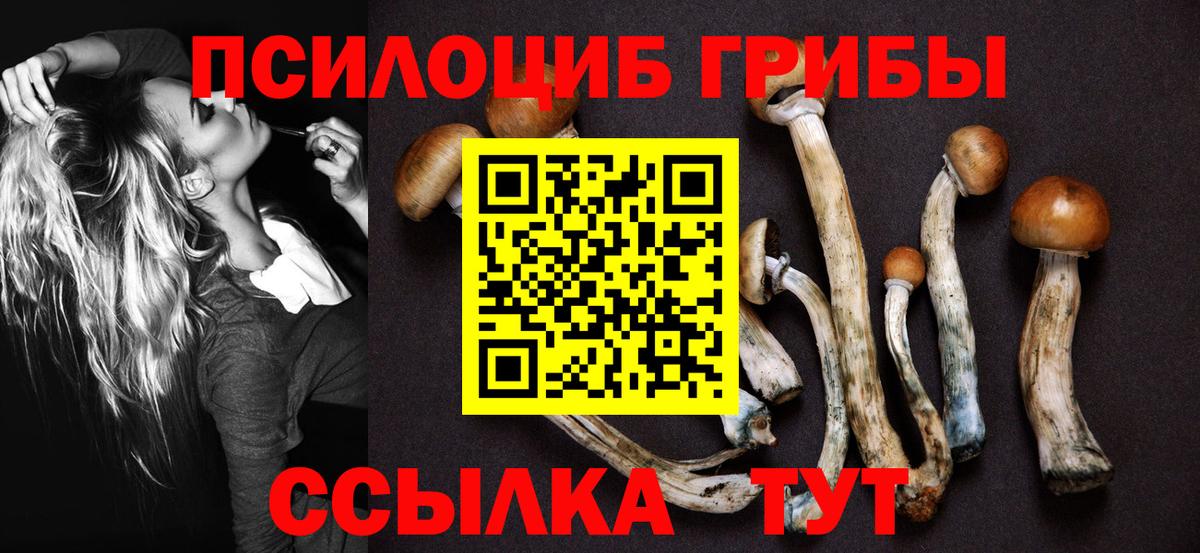 Химки  Псилоцибиновые грибы мухоморы  Галлюциногенные грибы мицелий  Вход с VPN 