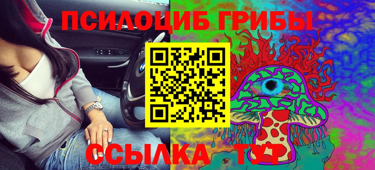Псилоцибиновые грибы GOLDEN TEACHER Химки